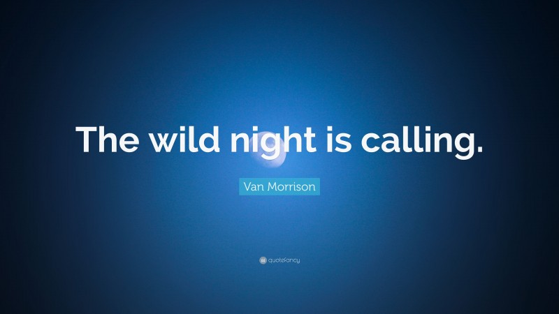Van Morrison Quote: “The wild night is calling.”