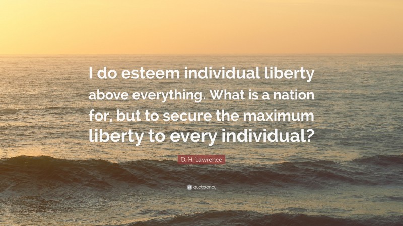 D. H. Lawrence Quote: “I do esteem individual liberty above everything. What is a nation for, but to secure the maximum liberty to every individual?”