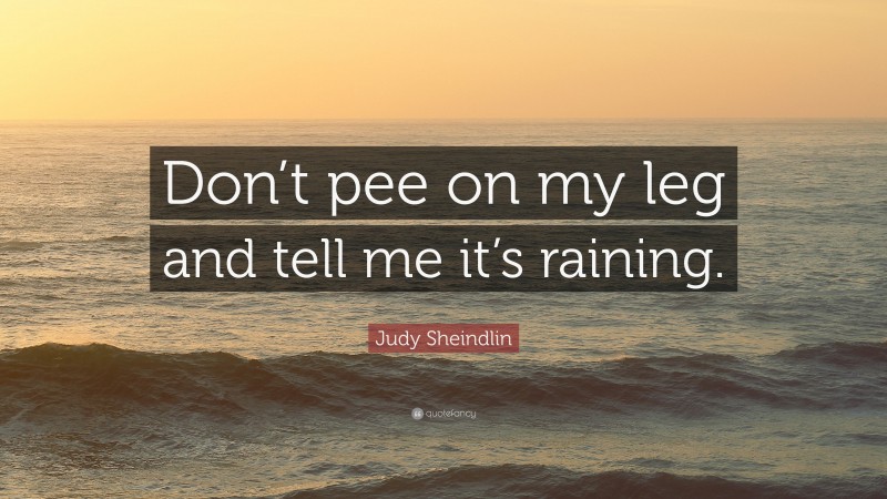 Judy Sheindlin Quote: “Don’t pee on my leg and tell me it’s raining.”