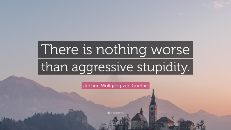 Johann Wolfgang von Goethe Quote: “There is nothing worse than aggressive stupidity.”
