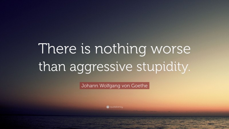 Johann Wolfgang von Goethe Quote: “There is nothing worse than aggressive stupidity.”