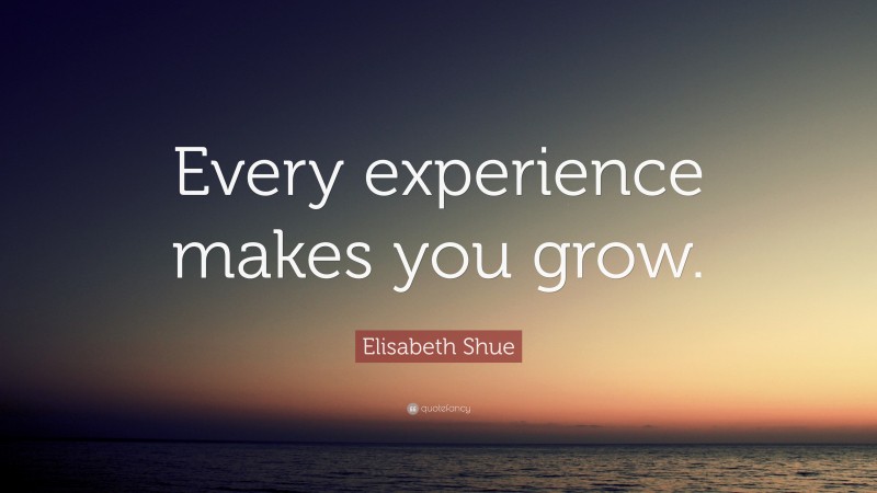 Elisabeth Shue Quote: “Every experience makes you grow.”