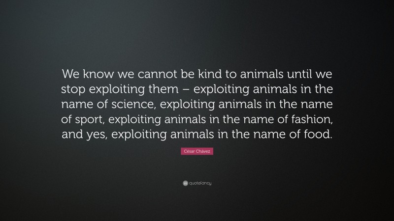 César Chávez Quote: “We know we cannot be kind to animals until we stop exploiting them – exploiting animals in the name of science, exploiting animals in the name of sport, exploiting animals in the name of fashion, and yes, exploiting animals in the name of food.”