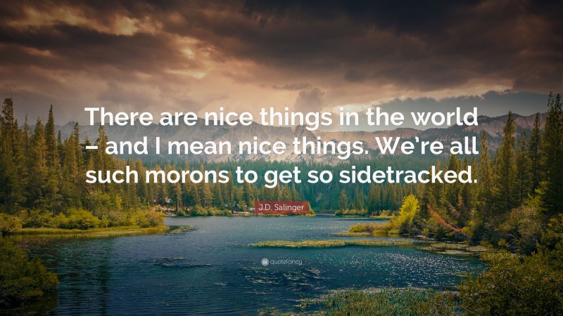 J.D. Salinger Quote: “There are nice things in the world – and I mean nice things. We’re all such morons to get so sidetracked.”