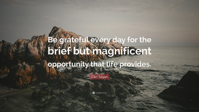 Carl Sagan Quote: “Be grateful every day for the brief but magnificent opportunity that life provides.”
