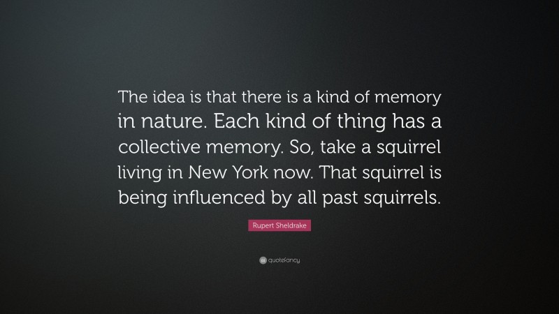 Rupert Sheldrake Quote: “The idea is that there is a kind of memory in nature. Each kind of thing has a collective memory. So, take a squirrel living in New York now. That squirrel is being influenced by all past squirrels.”