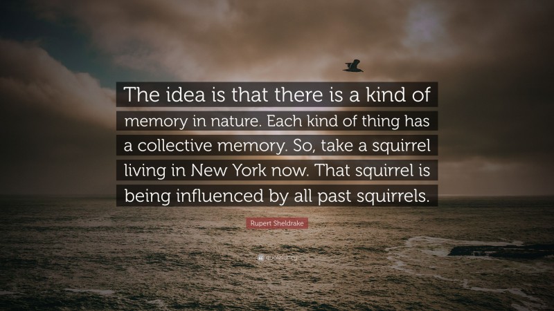Rupert Sheldrake Quote: “The idea is that there is a kind of memory in nature. Each kind of thing has a collective memory. So, take a squirrel living in New York now. That squirrel is being influenced by all past squirrels.”