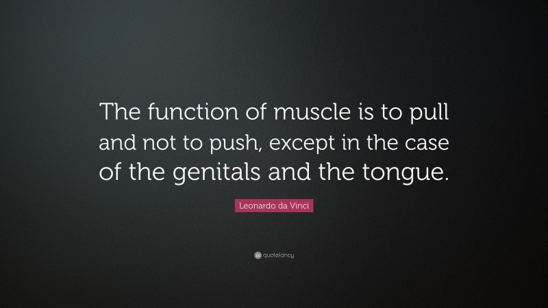 Leonardo da Vinci Quote: “The function of muscle is to pull and not to push, except in the case of the genitals and the tongue.”