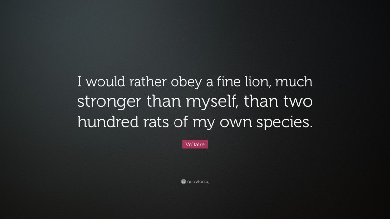 Voltaire Quote: “I would rather obey a fine lion, much stronger than myself, than two hundred rats of my own species.”