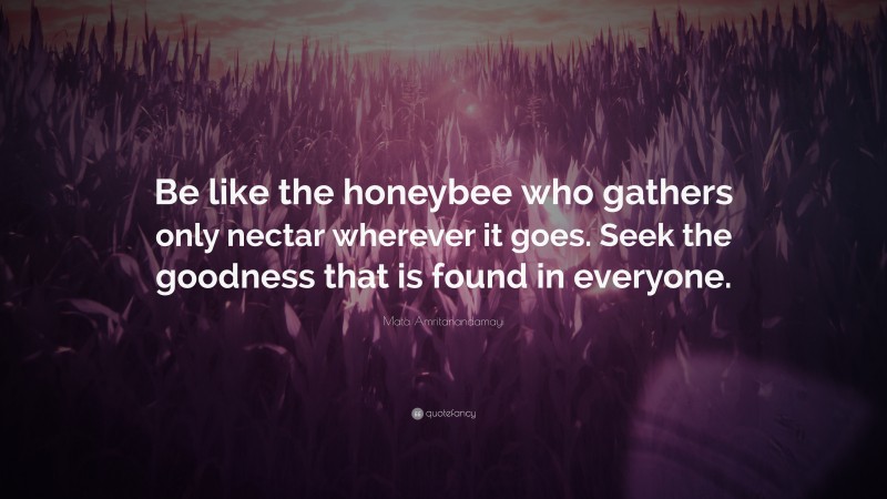 Mata Amritanandamayi Quote: “Be like the honeybee who gathers only nectar wherever it goes. Seek the goodness that is found in everyone.”