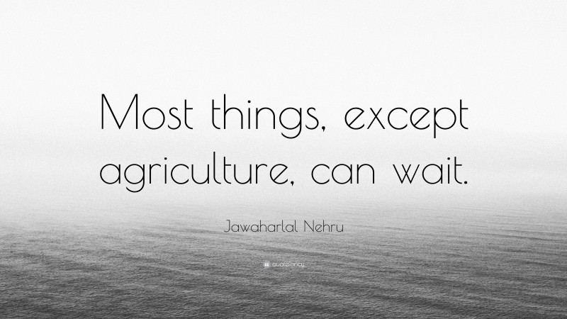 Jawaharlal Nehru Quote: “Most things, except agriculture, can wait.”