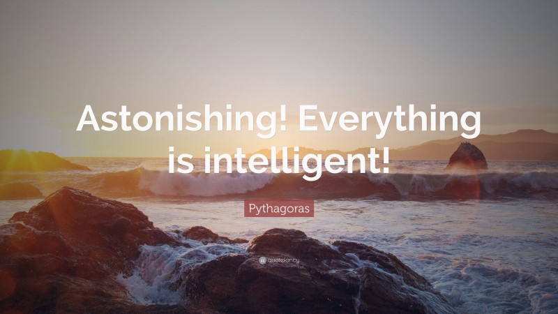 Pythagoras Quote: “Astonishing! Everything is intelligent!”