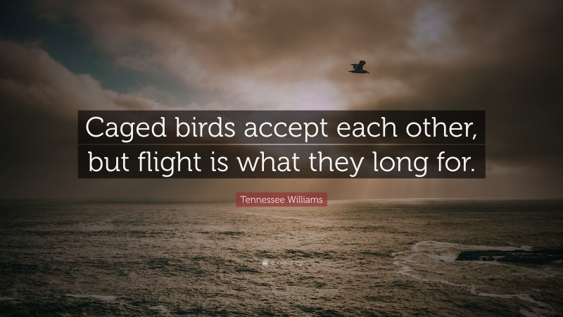 Tennessee Williams Quote: “Caged birds accept each other, but flight is what they long for.”