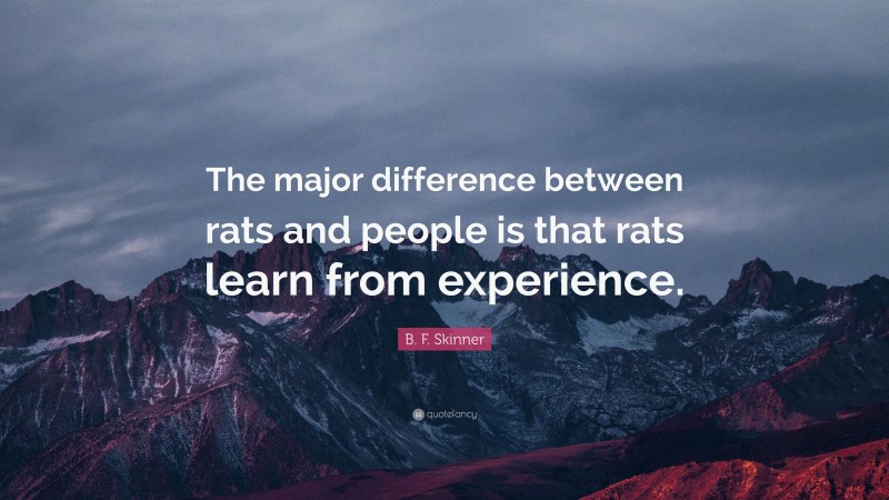 B. F. Skinner Quote: “The major difference between rats and people is that rats learn from experience.”