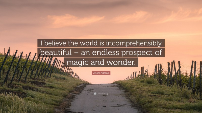 Ansel Adams Quote: “I believe the world is incomprehensibly beautiful – an endless prospect of magic and wonder.”