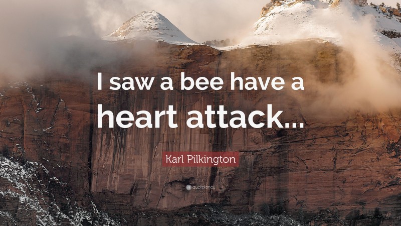Karl Pilkington Quote: “I saw a bee have a heart attack...”