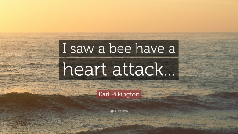 Karl Pilkington Quote: “I saw a bee have a heart attack...”