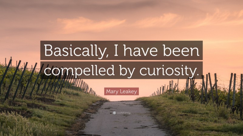 Mary Leakey Quote: “Basically, I have been compelled by curiosity.”