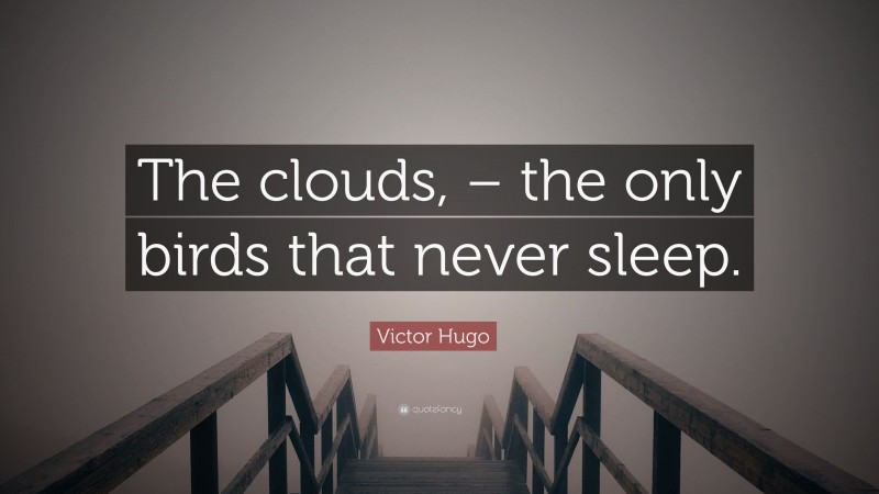 Victor Hugo Quote: “The clouds, – the only birds that never sleep.”