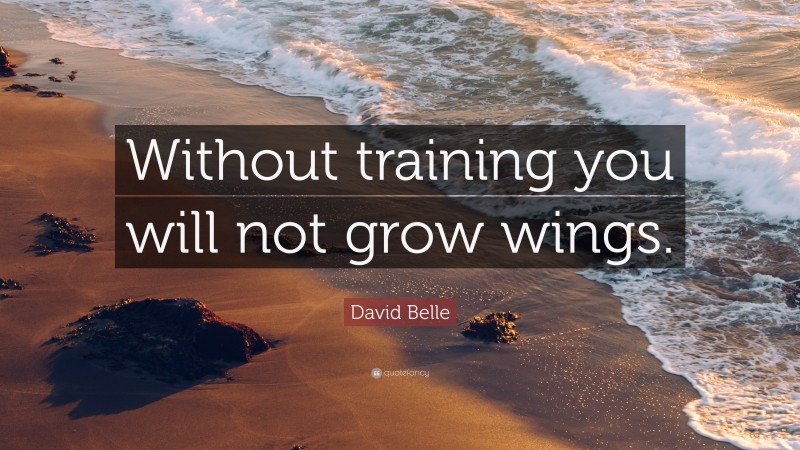 David Belle Quote: “Without training you will not grow wings.”