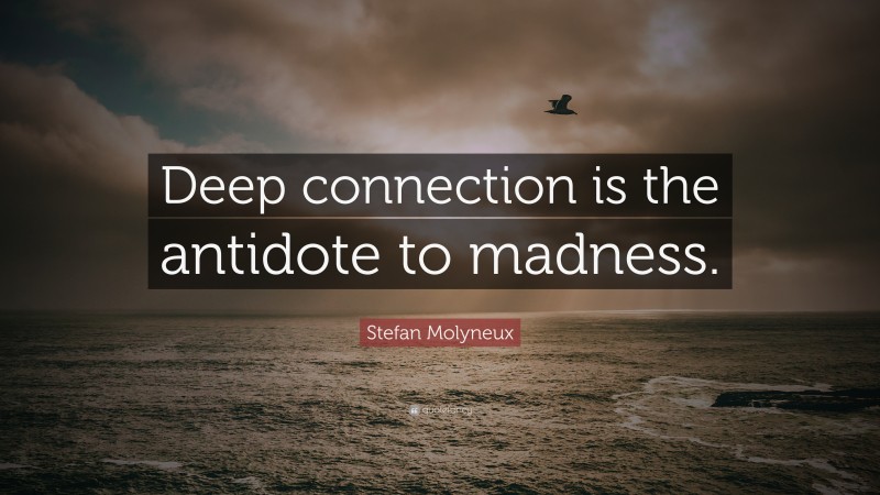 Stefan Molyneux Quote: “Deep connection is the antidote to madness.”