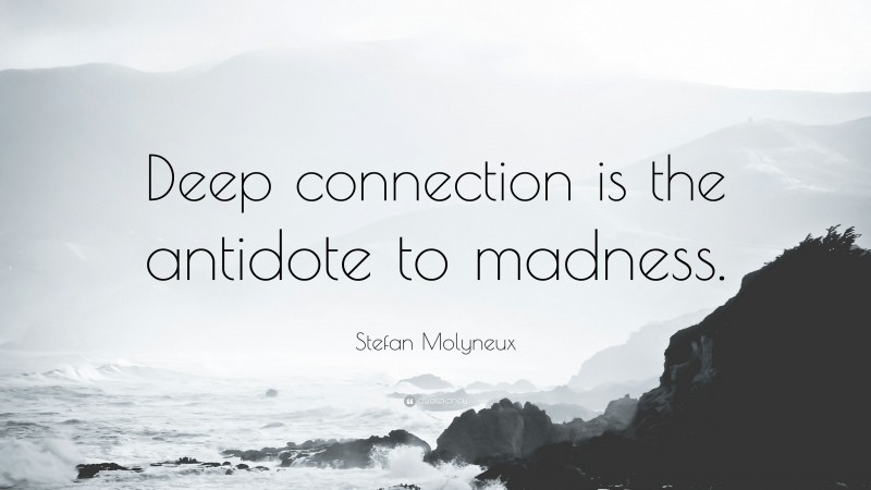 Stefan Molyneux Quote: “Deep connection is the antidote to madness.”