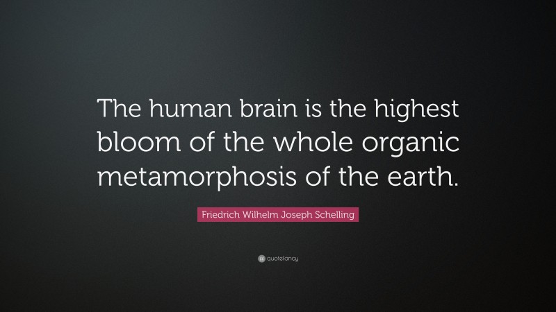 Friedrich Wilhelm Joseph Schelling Quote: “The human brain is the highest bloom of the whole organic metamorphosis of the earth.”