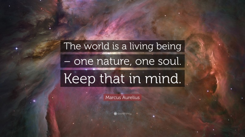 Marcus Aurelius Quote: “The world is a living being – one nature, one soul. Keep that in mind.”