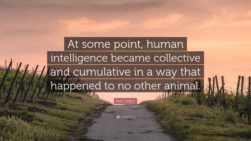 Matt Ridley Quote: “At some point, human intelligence became collective and cumulative in a way that happened to no other animal.”