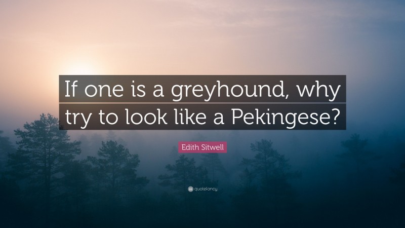 Edith Sitwell Quote: “If one is a greyhound, why try to look like a Pekingese?”