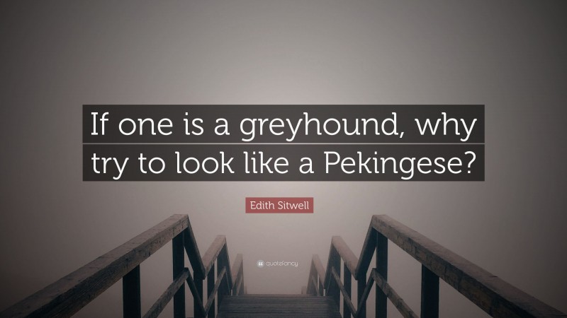 Edith Sitwell Quote: “If one is a greyhound, why try to look like a Pekingese?”