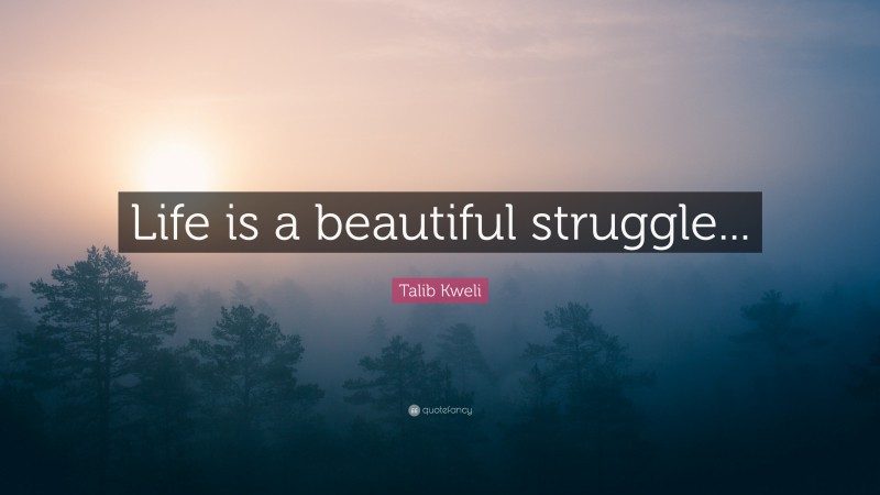 Talib Kweli Quote: “Life is a beautiful struggle...”