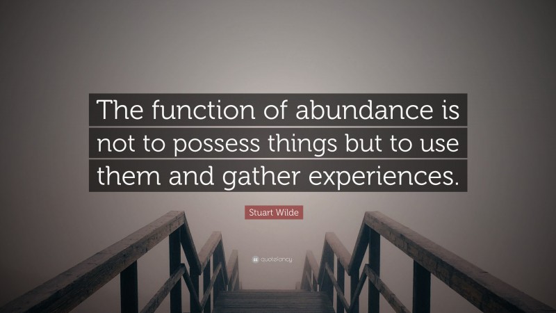 Stuart Wilde Quote: “The function of abundance is not to possess things but to use them and gather experiences.”