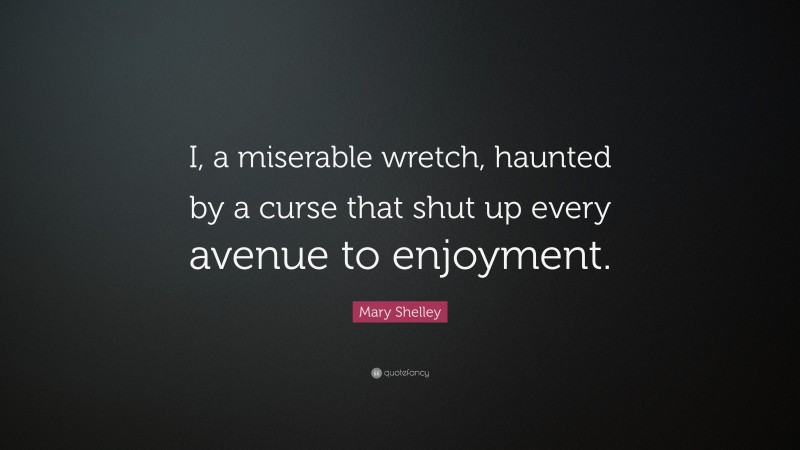 Mary Shelley Quote: “I, a miserable wretch, haunted by a curse that shut up every avenue to enjoyment.”