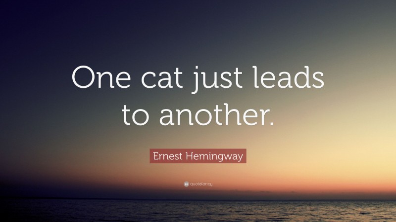 Ernest Hemingway Quote: “One cat just leads to another.”