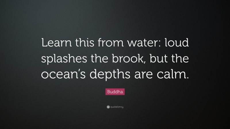 Buddha Quote: “Learn this from water: loud splashes the brook, but the ocean’s depths are calm.”