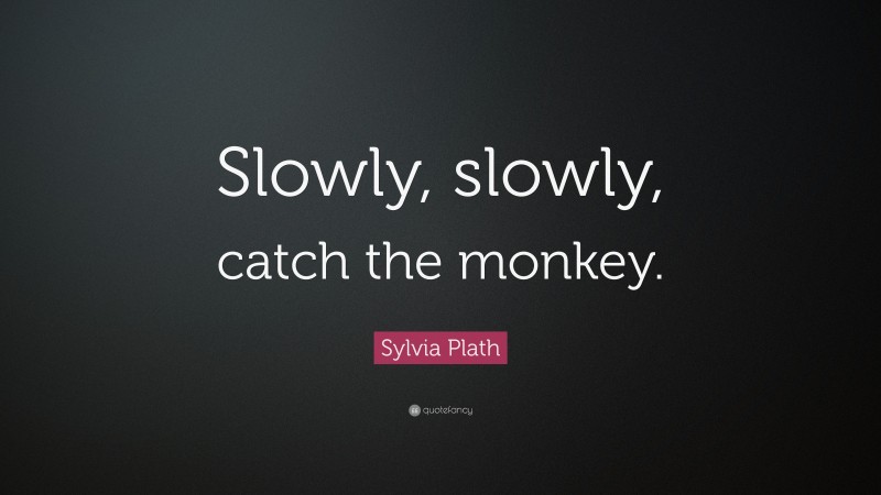 Sylvia Plath Quote: “Slowly, slowly, catch the monkey.”