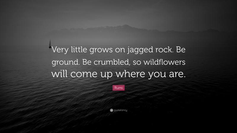 Rumi Quote: “Very little grows on jagged rock. Be ground. Be crumbled, so wildflowers will come up where you are.”