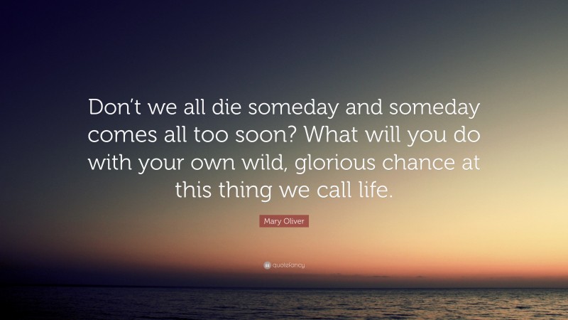 Mary Oliver Quote: “Don’t we all die someday and someday comes all too soon? What will you do with your own wild, glorious chance at this thing we call life.”