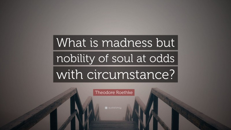Theodore Roethke Quote: “What is madness but nobility of soul at odds with circumstance?”
