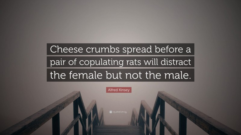Alfred Kinsey Quote: “Cheese crumbs spread before a pair of copulating rats will distract the female but not the male.”