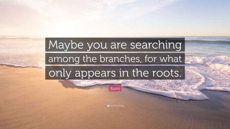 Rumi Quote: “Maybe you are searching among the branches, for what only appears in the roots.”
