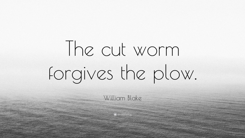 William Blake Quote: “The cut worm forgives the plow.”