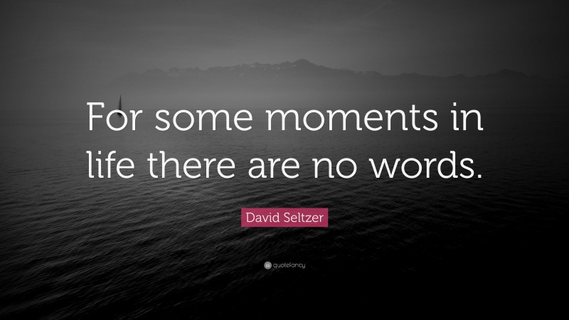 David Seltzer Quote: “For some moments in life there are no words.”