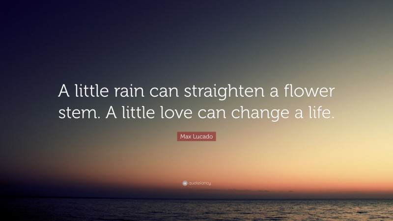 Max Lucado Quote: “A little rain can straighten a flower stem. A little love can change a life.”