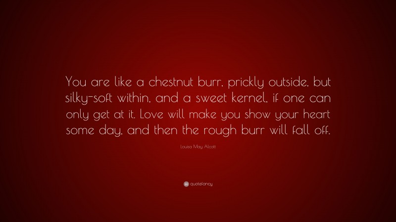 Louisa May Alcott Quote: “You are like a chestnut burr, prickly outside, but silky-soft within, and a sweet kernel, if one can only get at it. Love will make you show your heart some day, and then the rough burr will fall off.”