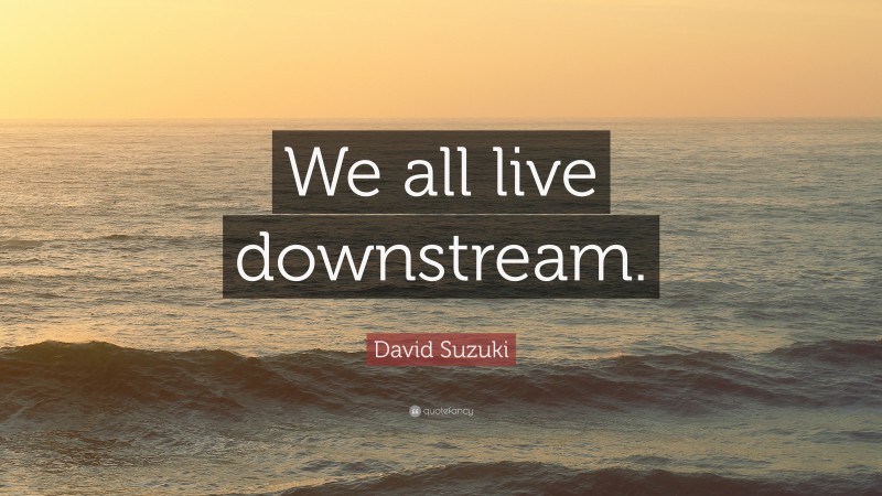 David Suzuki Quote: “We all live downstream.”