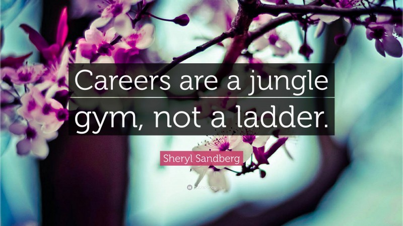 Sheryl Sandberg Quote: “Careers are a jungle gym, not a ladder.”