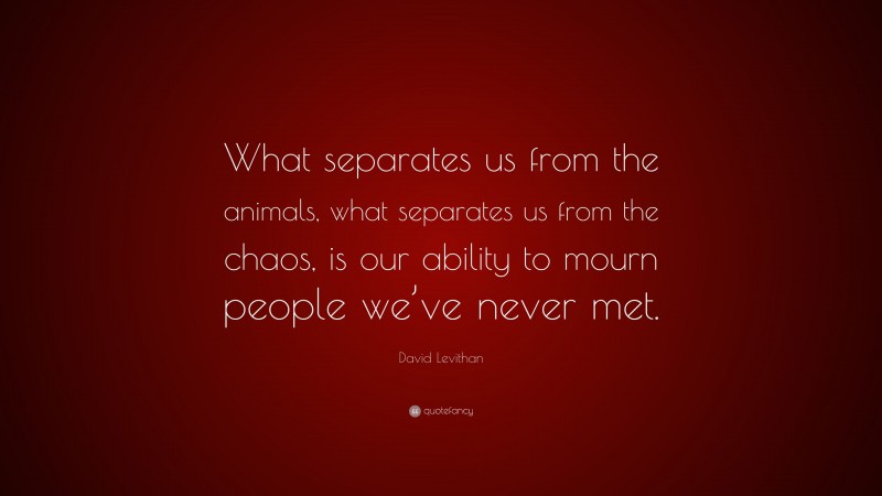 David Levithan Quote: “What separates us from the animals, what separates us from the chaos, is our ability to mourn people we’ve never met.”