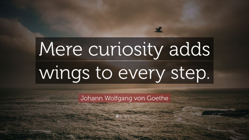 Johann Wolfgang von Goethe Quote: “Mere curiosity adds wings to every step.”